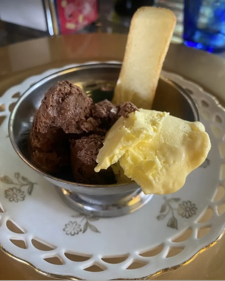 Chocolate and vanilla gelato with a ladyfinger